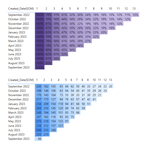 Cohort Subscription Analysis